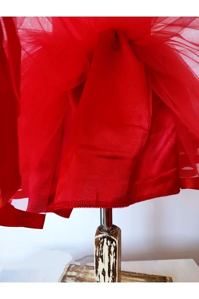 LULLY KİDS Girl's Red Lined October 29 Halloween Tulle Tutu Skirt April 23
