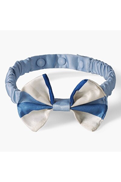 Home Box قوس خطي للكلاب - 12-16 سم