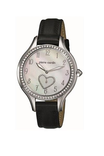 Pierre Cardin PC105842f04 Wristwatch