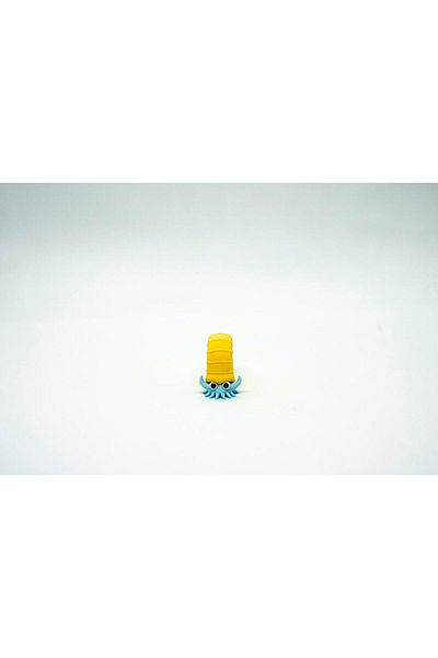 BloomLab Omanyte - Omastar Pokemon 3D Model Evolution مجموعة كاملة مكونة من قطعتين