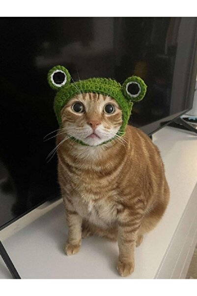 baddin aksesuar الضفدع الأخضر - قبعة للقطط والكلاب الصغيرة