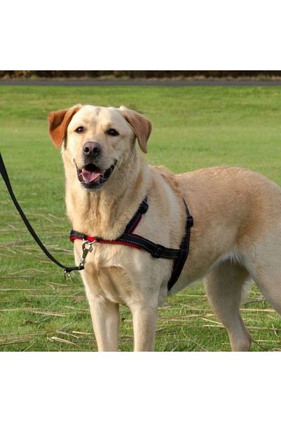 Trixie Dog Walking Training Chest Collar M-L 543133