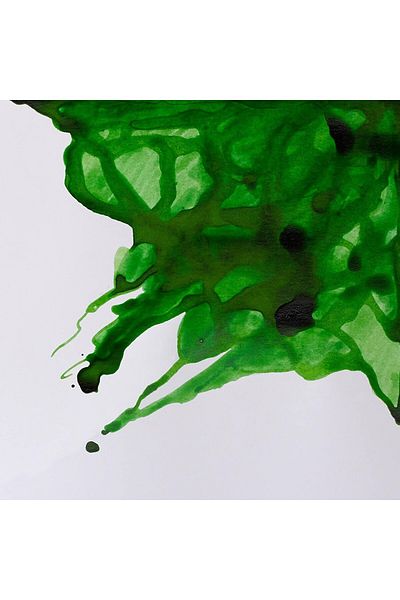 Winsor Newton Winsor & Newton Drawing Ink Çizim Mürekkebi 14ml Apple Green 011