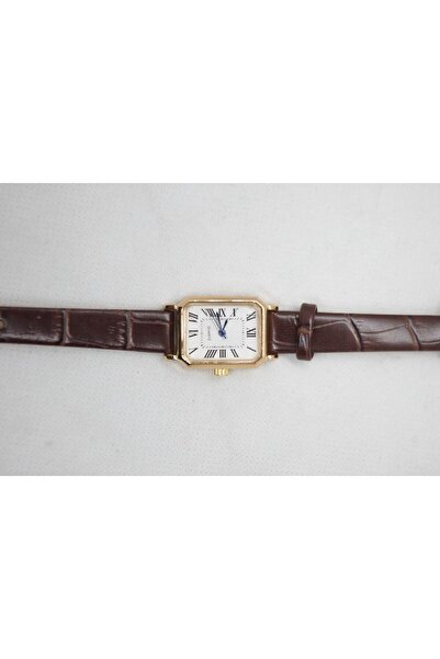 Brality Marka Vintage Roma Rakamlı Deri Yılan Desenli Kordon Kare Çelik Saat 0056