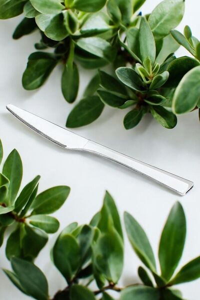 Gökdil Tuana Sade 12 Parça Çelik & Sade Yemek Bıçağı