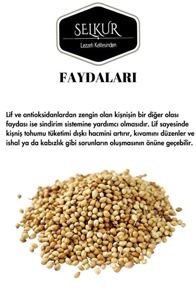 SELKUR Kişniş Tohumu,aşotu, Kinzi 50gr