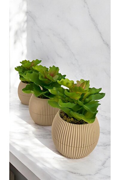 DDTREND Cactus artificial Echeveria Rosea Enrica Suculentă 3 bucăți Bej albas...