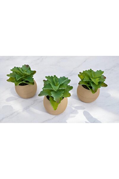 DDTREND Cactus artificial Echeveria Rosea Enrica Suculentă 3 bucăți Bej albas...