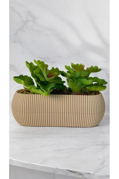 DDTREND Cactus artificial Echeveria Rosea Enrica Suculent BEJ albastru cobalt ılı Culoare Verde 11 cm.