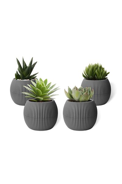 ToXA 4 قطع أنثراسيت رمادي مرجاني رقم 3 أصيص زهور بلاستيكي عصاري - 0.70 لتر، Ø146x115mm