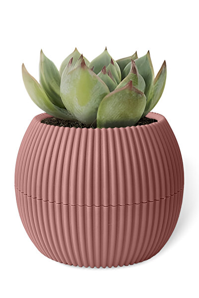 ToXA 0.15 Litre Soft Pembe Mini Boy Yuvarlak Plastik Mercan No1 Saksı Kaktüs ...