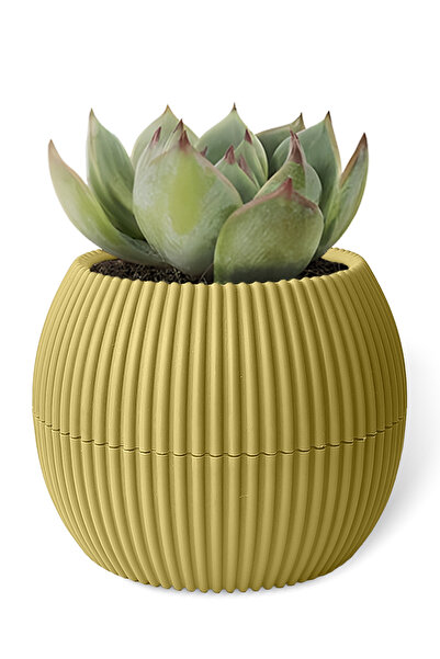 ToXA 0.15 Litre Soft Sarı Mini Boy Yuvarlak Plastik Mercan No1 Saksı Kaktüs S...