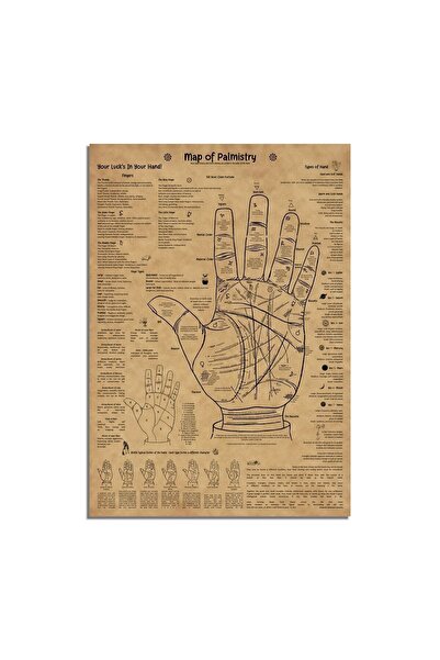 Talented Bears Workshop Rustik Palmistry Posteri, El Falı Haritası, Antik Ast...