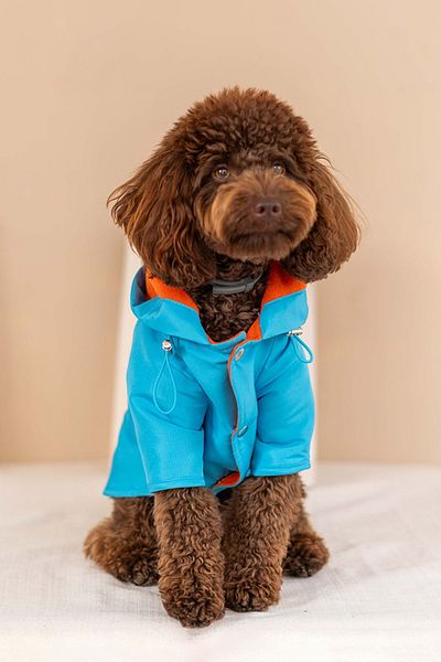 Lorico Hooded Waterproof Raincoat with Snap Fastener on the Front (Small and Large Breed Dog Coat)