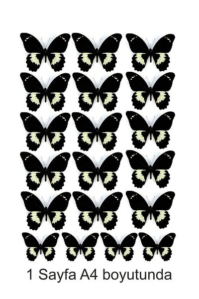 hediyehobihersey Black Butterflies Pattern A4 Edible Ornament Cake Cookie Candy Dough Paper Printing