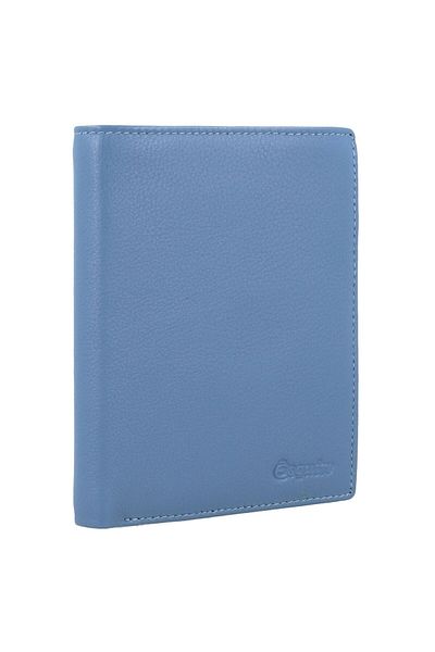 Esquire Viktoria Geldbörse RFID-LED 10 cm