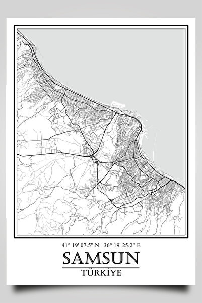 HariTasarım Samsun Şehir Haritası Çerçevesiz Poster-Harita Sanatı, Map Art De...
