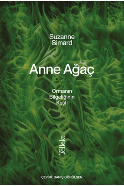 Timaş Yayınları Anne Ağaç