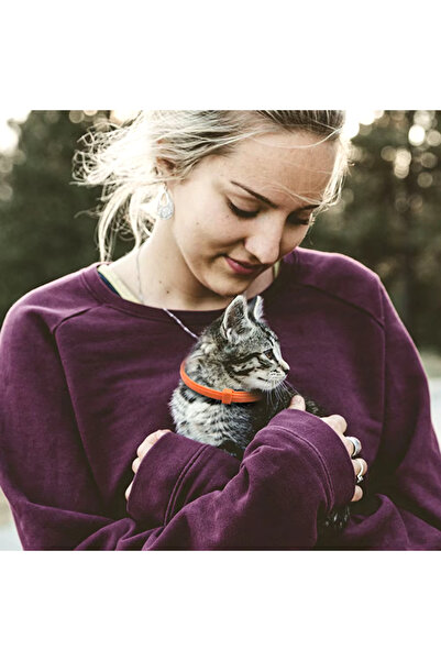 hayhall Pire Tasması Kedi Doğal Içerikli Bit Parazit Pire Tasması 38 Cm