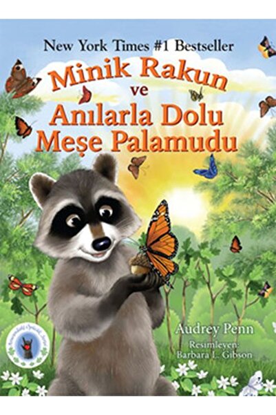 Butik Yayınları Minik Rakun ve Anılarla Dolu Meşe Palamudu