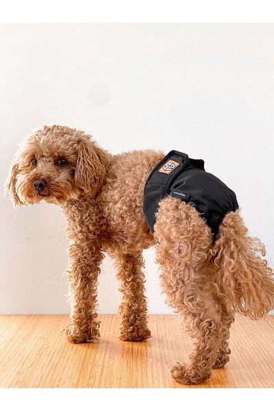 salya store Black Dog Menstrual Panties, Female Dog Pee Diaper