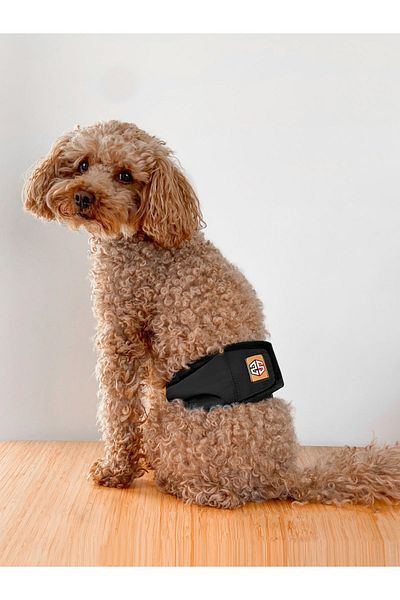 salya store Black Men's Dog Pee Diaper