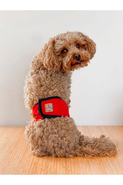 salya store Köpek Külot, Erkek Köpek Çiş Bezi, Kırmızı köpek külot