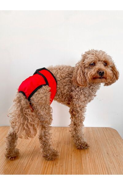 salya store Red Dog Menstrual Panties, Female Dog Pee Diaper