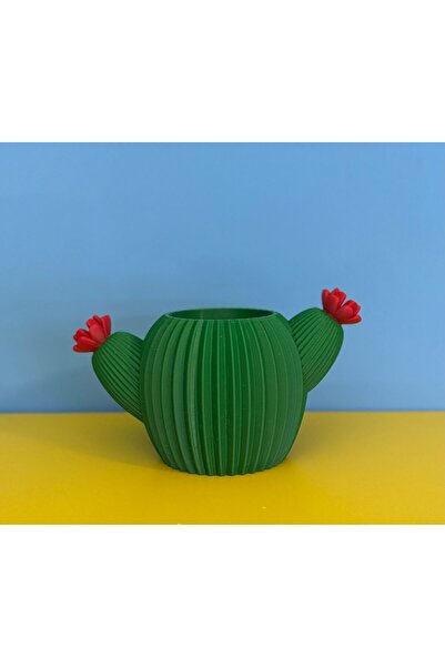 Home Dekoratif Kaktüs Saksı / Organizer 12cm