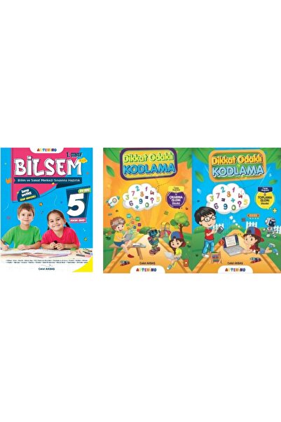 Artenino Bilsem 1. Sınıf ve Dikkat Odaklı Çıkartma-Toplama Seti
