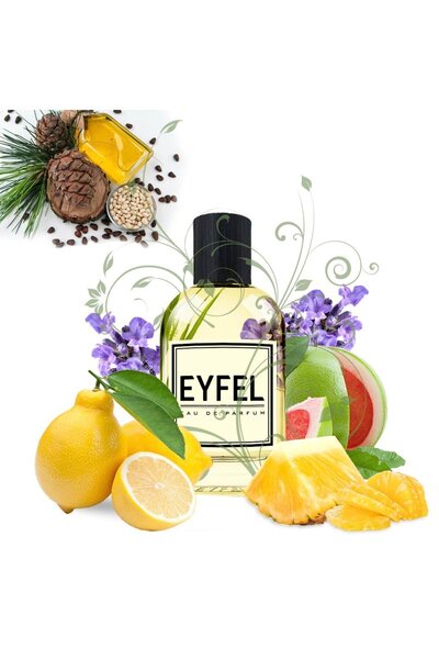 Eyfel Parfüm EYFEL ERKEK PARFÜM M87 100 ML