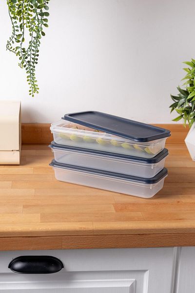 FH finehome Buzzy 3-Piece Refrigerator & Freezer Storage Container 1200ml