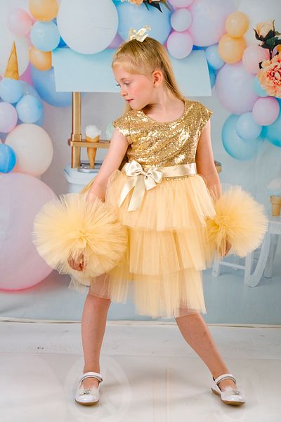 Delfini kids Βραδινό φόρεμα γενεθλίων για κορίτσια με αγκράφα και μανίκια Pompom