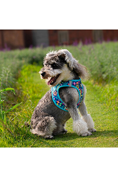 True Love Blossom Step-In Mavi Köpek Göğüs Tasması