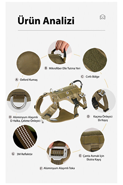 True Love Tactical Asker Yeşili Köpek Göğüs Tasması