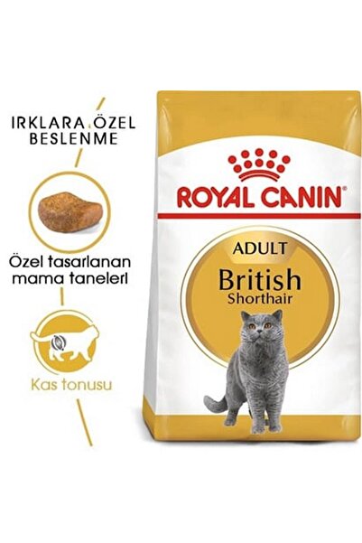 Royal Canin ® British Shorthair Yetişkin Kedi Maması 2 Kg 2 Adet Yaş Mama Hediyeli