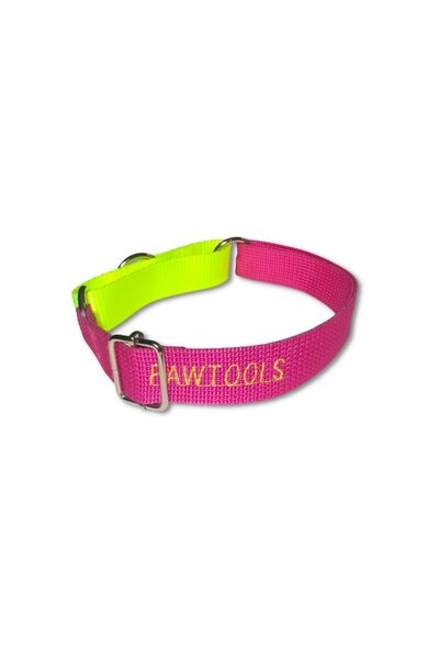 Martingale Boyun Tasması | Pembe-Neon