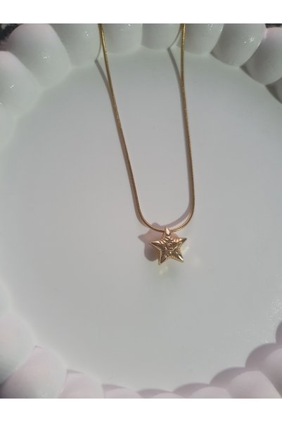 BS JEWELRY Starfish Figured Steel Necklace