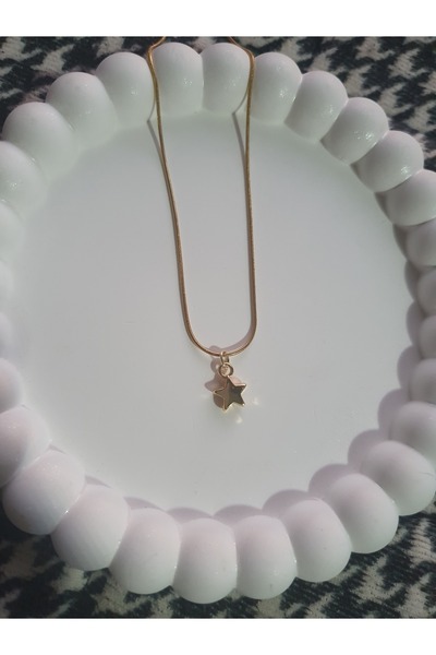 BS JEWELRY Star Mini Steel Necklace