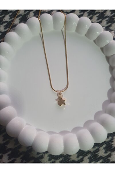 BS JEWELRY نجمة قلادة الصلب البسيطة
