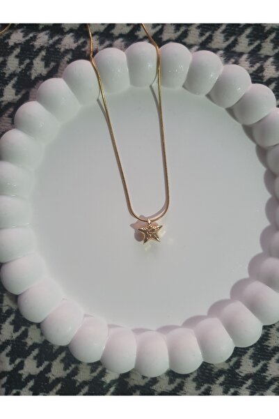 BS JEWELRY Deniz Yıldızı Figürlü Çelik kolye
