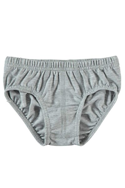 Tezzgelsin Boy's Cotton Slip Panties 6 Pack