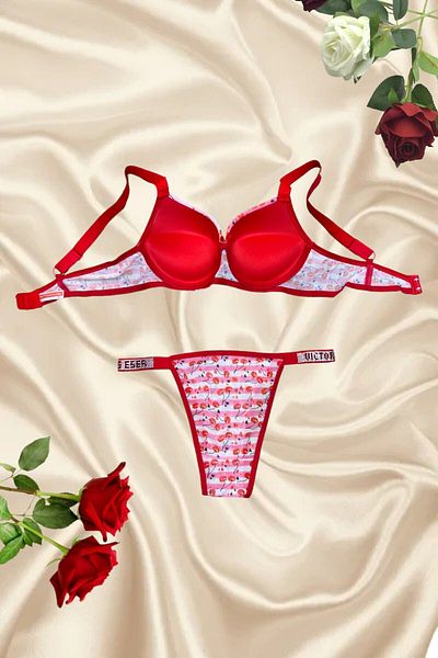 PİERLES Stone Strap Supported Bra Set