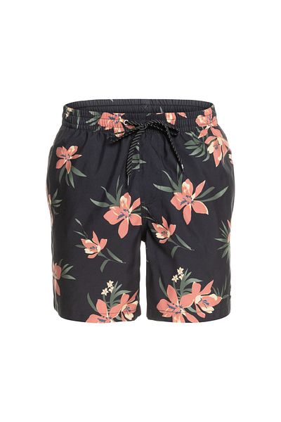 Quiksilver Swim Shorts Men