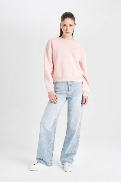 DeFacto Ροζ Regular Fit Crew Neck Χοντρό Basic Απλό φούτερ 3170419