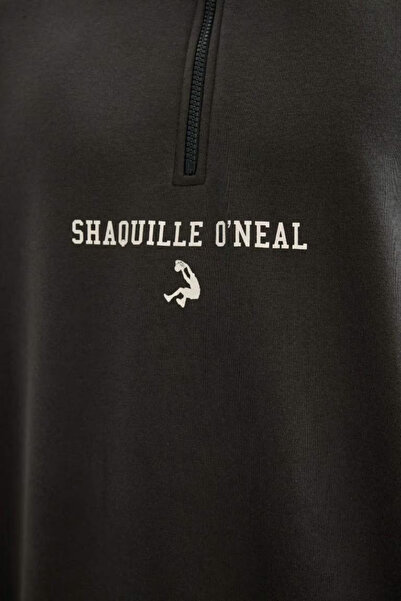 DeFacto Шакіл О'Ніл Боксі Фіт Світшот на блискавці з високим коміром - DFC