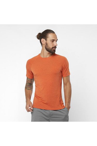 Salomon Runlife Men's Colorful Running T-Shirt Men's Running T-Shirt Lc2026200