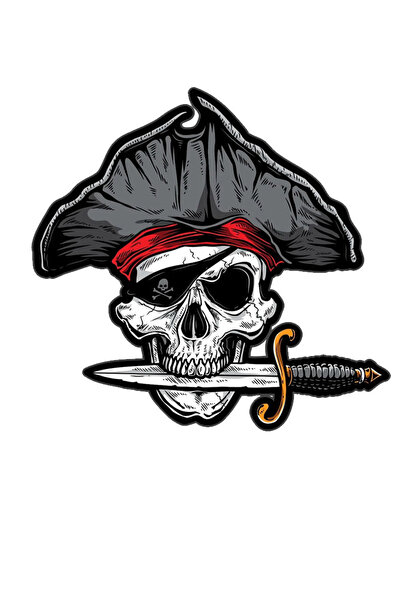 MegaSticker ملصق جمجمة قرصان سيارة، دراجة نارية، خوذة، كمبيوتر محمول، ملصق زج...