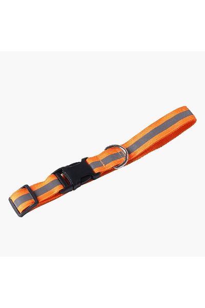 Home Box Canine Glow-in-the-Dark Pet Collar - Large