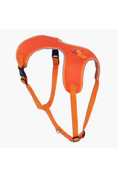 Home Box Canine Glow-in-the-Dark Pet Harness - Medium